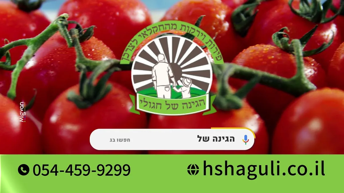 פרסום כתבה בוואלה לצד פרסום בטלוויזיה: תשדיר החסות של הגינה של חגולי